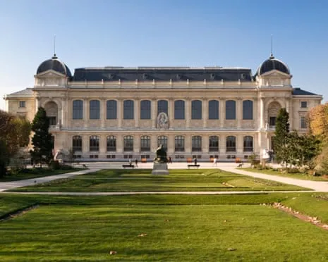 Historic Golden Samples Snatched in Bold Raid at French Natural History Institution